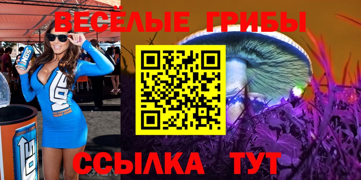 Псилоцибиновые грибы мухоморы Керчь
